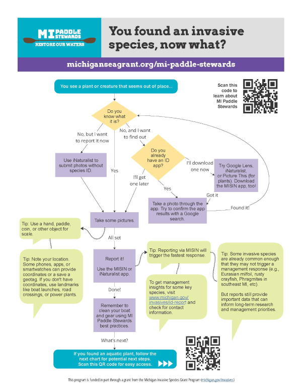 snapshot of flow chart available online (for decorative use)